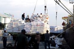 Jelang Lebaran, 13.000 Ton Beras Impor Asal Vietnam Tiba di Belawan
