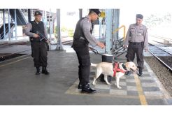 Amankan Arus Mudik, PT KAI Daops 4 Kerahkan 6 Anjing Pelacak