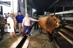 Bupati Pastikan Stok Daging untuk Kobar dan Sekitarnya Aman
