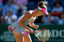Buzarnescu Masih Butuh...