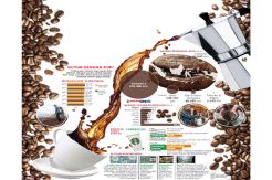Kopi yang Semakin Diminati