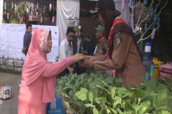 Usai Nyoblos, Warga Jombang Dapat Bibit Pohon Gratis