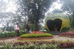 Tak Hanya Kawah, Tangkubanparahu Juga Tawarkan Alternatif Lain