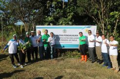 PLN Gelar Program Tanam 1.111 Pohon di Lembah Furia