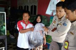 Awas! Pelihara Jenis Ikan Ini Bisa Disanksi 6 Tahun Penjara