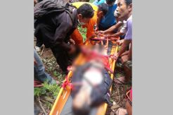 Jatuh dari Tebing Setinggi 20 Meter, Kakek 60 Tahun Selamat