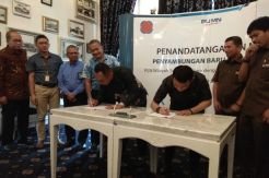 PLN Bakal Suplai Daya Baru untuk 20.000 Unit Rumah Bersubsidi di Sumut
