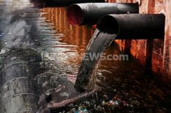 Duet Alumni Undip-UGM Pelopori Gerakan Bangun 20 juta jamban