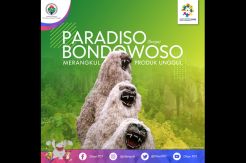 Paradiso Bondowoso