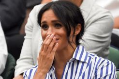 Serena William Bikin...