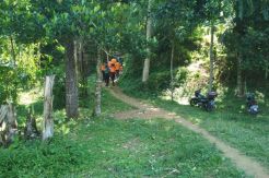 Mbah Tarmonah Tersesat di Tengah Hutan, Tim SAR Gelar Operasi Pencarian