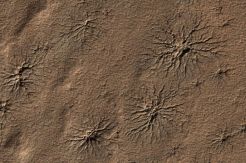 NASA Temukan Laba-Laba Merayap Dipermukaan Mars ?