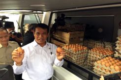 Harga Turun, Pengamat dan Pelaku Usaha Sambut Positif OP Telur Kementan