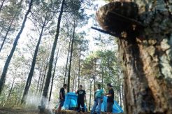 Wisata Alam Mojokerto Makin Diminati