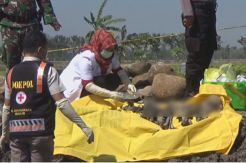 Warga Nganjuk Heboh, 3 Kerangka Manusia Ditemukan di Tepi Sungai