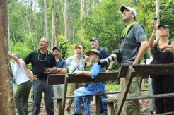 Gaungkan Pariwisata di Kobar melalui Festival Tanjung Puting
