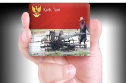 Percuma Miliki Kartu Tani, Ribuan Petani Blitar Belum Bisa Nebus Pupuk
