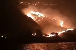 Pulau Gili Lawa di Taman Nasional Komodo Terbakar 11 Orang Diperiksa