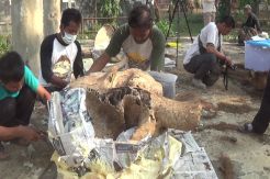 Makam Gajah Milik Bonbin...