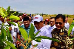 DPR Akui PDB Pertanian Kuartal II/2018 Tumbuh Tinggi