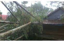 2 Warga Luka Parah Akibat Puting Beliung yang Terjang  Tana Toraja