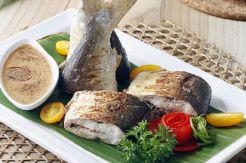Lezatnya Ikan Bolu Bakar Sambal Petis Khas Makassar