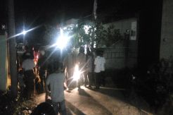 Mulai Meresahkan, Warga Usir Raja Ubur-ubur dan Pengikutnya