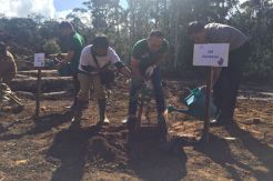 Tanam 20.000 Bibit Pohon, PLN Sumut Hijaukan Hutan Wisata Situmorang