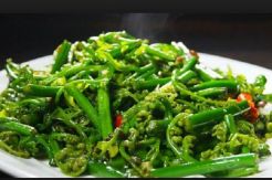 Tumis Sayur Pakis untuk...