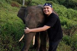 Tulus Gencarkan Gerakan Peduli Pelestarian Gajah