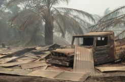 20 Rumah Habis Terbakar Akibat Kebakaran Hutan