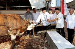 Aksi Nyata, Sinar Mas Salurkan Hewan Kurban ke Sejumlah Daerah