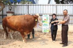 Gandeng Mabes Polri, Komix Herbal Berbagi Hewan Kurban