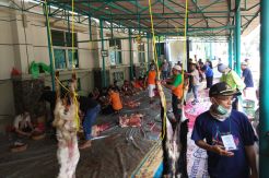 Menabung 3 Pekan, Siswa di Tangsel Sumbang 95 Hewan Kurban