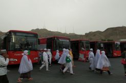 Bus Selawat Kembali Beroperasi, Jamaah Haji Diimbau Tak Berebut Naik