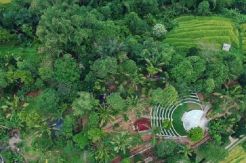 Festival Jatiluwih Padukan Seni Tradisional dan Modern