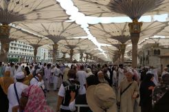 Konsentrasi Petugas Haji Beralih di Madinah