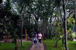 Targetkan Bangun 10 Taman Baru, Pemprov DKI Kesulitan Lahan