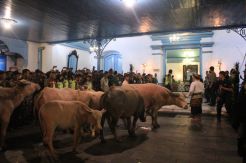 Melihat Kekhidmatan Kirab Malam 1 Sura Keraton Solo