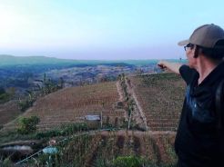 Kementan Genjot Perluasan Tanam Bawang Merah pada Musim Hujan