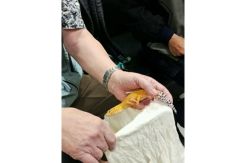 Selundupkan 52 Kadal di Kopernya, WN Jepang Diamankan di Bandara Soetta