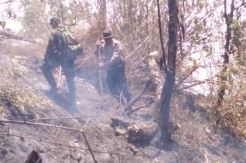 Pastikan Api Padam Pasukan Gabungan Kembali Naik Gunung Sumbing