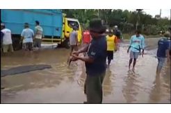 Protes Jalan Rusak Warga Lempar Ikan Lele ke Jalanan