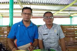 Tapsel Buka 242 Formasi CPNS 2018