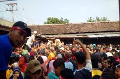 Harga Rendah, Pinsar Jateng Bagikan 1.500 Ayam Gratis