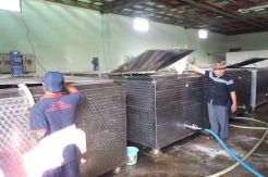 Harga Susu Sapi di Salatiga Rendah, Rp4.100-Rp5.500 Per Liter