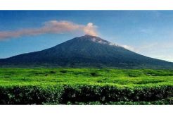 Keluarkan Asap Tebal, Gunung Kerinci Dinyatakan Waspada