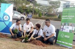 Kesadaran Naik, Jumlah Hutan Bersertifikasi FSC Jadi 3,2 Juta Ha