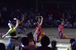 Sukses, Festival Karimunjawa Akan Digelar Setiap Tahun