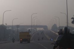 Kebakaran Hutan dan Lahan Meluas, Asap Mulai Menyelimuti Palembang